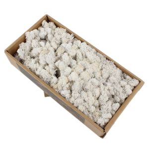 Decorative Preserved Natural Moss Perfect Nature Touch With No Maintenance