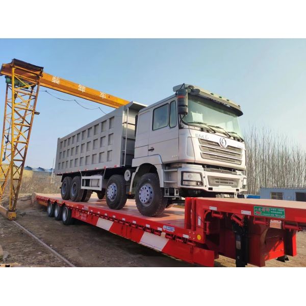 Quality Shacman 8*4 Dump Truck Hw70 Wd615.69 EURO II Euro II Emission with Radial Tire Design wholesale