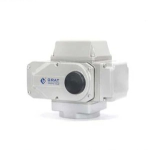 Alloy Miniature Intelligent Electric Actuator IP68 With Analog Input / Output Signal