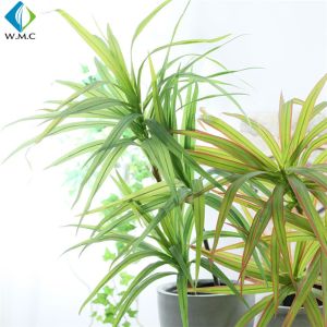 Dracaena Cinnabari Artificial Potted Plants , Green Dragon Tree Bonsai