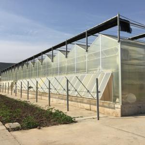 Cheap 4m Section Polycarbonate Greenhouse for Vegetable Fruits and Flowers Commercial Grade for sale
