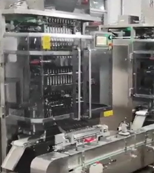 Fully automatic 10-Lane granular back seal bag packaging machine