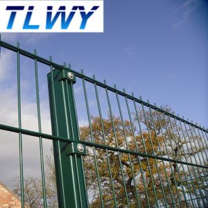 6/5/6mm Double Wire Welded Mesh Fence Powder Coated 50*150mm