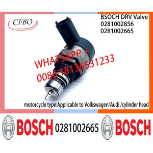 BOSCH DRV Valve 0281002665 Control Valve 0281002665 For Applicable to Volkswagen