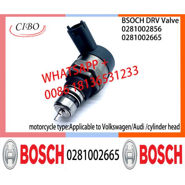 BOSCH DRV Valve 0281002665 Control Valve 0281002665 For Applicable to Volkswagen/Audi | cylinder head|