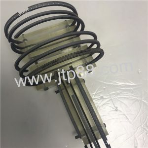 Filters Piston Ring Sets 110mm DIA OEM 197-9386