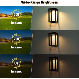 15-Hour Working Solar Panel Black Decorative Solar Lights 6-Hour Charge Time 2