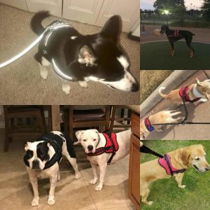 Reflective Dog Harness Leash Breathable Adjustable With Handle No More Pulling
