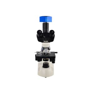 C303 Entry Level Clinical Laboratory Microscopes WF10X18 Eyepiece For Hospital