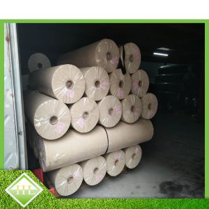 90GSM PP Spunbond Non Woven Fabric Roll For Shopping Bag / Medical Products