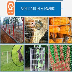 2X2 Openning Electro Galvanized Welded Wire Mesh Grid