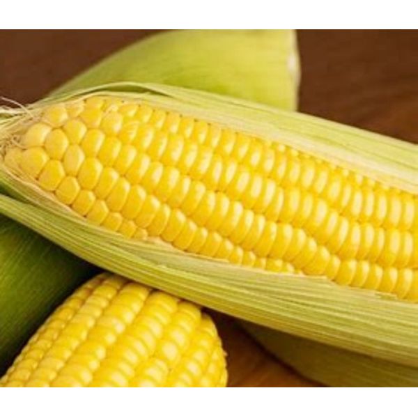 Air System Precision Seeder Agriculture Equipment 9 Rows The Seeding Strips Of The Seeder 12.5 Cm