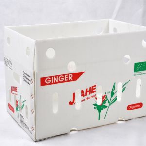 Versatile Fruit Corrugated Boxes Flat Surface and UV Coating