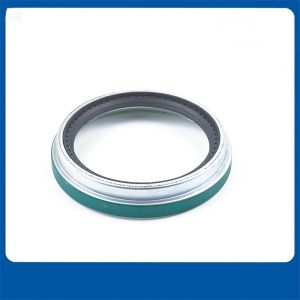 China Rubber Oil Seal for High-Temperature and High-Pressure EnvironmentsRear Wheel Shaft Oil Seal Bus 47697 NBR FKM rubber on sale