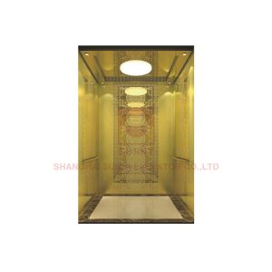 China SN-CD Series Passenger Lift Design Wood Veneer Wall Glass Mirror on sale