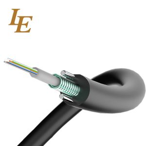 Gyxtw Armored 12 Core Fiber Optic Cable Custom Meter