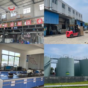 Auto Paint 1k Touch Up Paint For Car Scratches Violet Red Black White Color