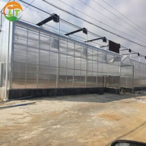 Cheap PC Greenhouse for Multi-Span Agricultural Greenhouses Section 8.0m Strong Structure for sale