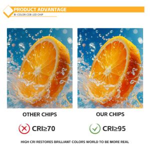 COB 2424 40W Warm/Cold /Neutral White Color 2800K to 6500K OEM 36v-38v 110lm/w