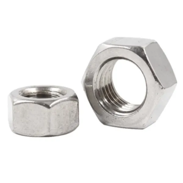 Stainless Steel Lock/Nylon Nut 304 Nut