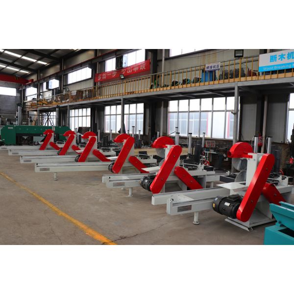 Computer automatic Twin Blades Circular Saw /Wood Sliading Table Circular