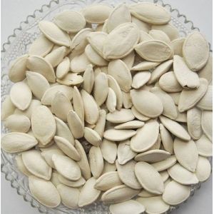 5:1, 10:1 Fine light yellow powder pumpkin seed extract --Cucurbita moschata