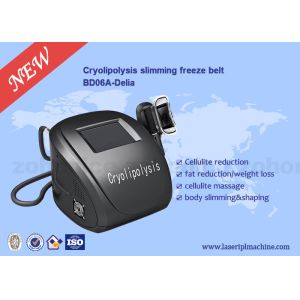 China Portable Body Sculpting Cryolipolysis Slimming And Weight Loss Machine on sale