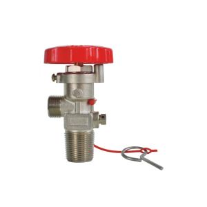 Factory Direct Dry Powder Fire Extinguisher Valve with Hook For Fire Fighting