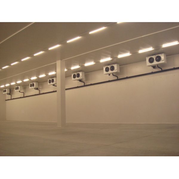 Home Using Solar Energy 18 Feet Container Cold Storage Room with Curtain