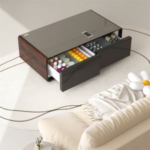 Cheap Smart Coffee Table with Built-in Refrigerated Drawer and Music Player Compressor Technology by Primst for sale
