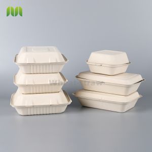 Envases Bagazo Pulp paper disposable bowls and plates