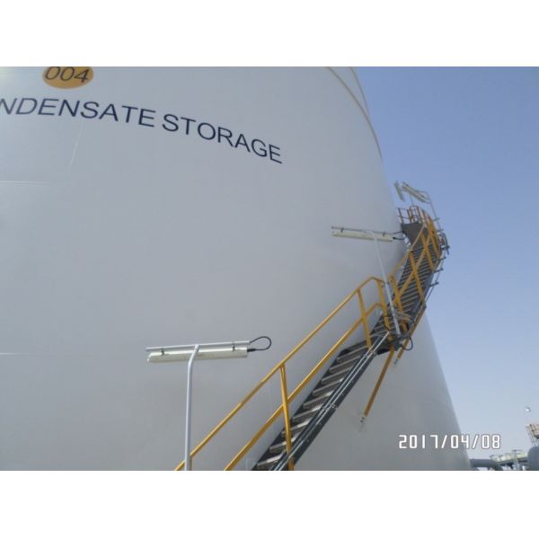 Quality Durable Explosion Proof Light Fittings For Food Industries wholesale