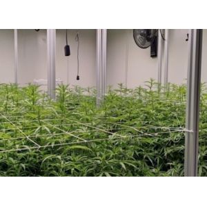 Custom Aeroponics Hydroponics System For Planting