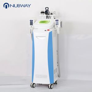 cryotherapy device cryolipolysis freezing fat criolipolisis slimming machine in