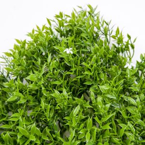 Waterproof Artificial Bush Wall Room Decorative Plastic Plants For Home