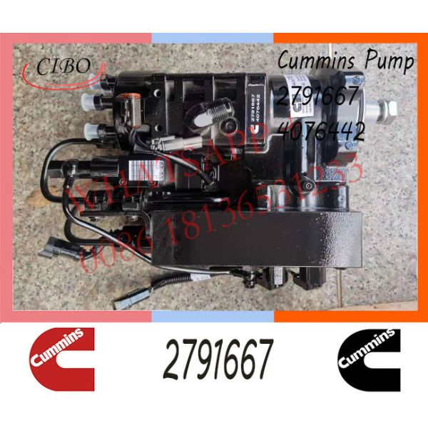 Diesel Engine Parts Fuel Injection Pump 2791667 4076442 4076443 For Cummins QSC8