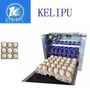 Clear Egg Inkjet Coding Printer With Unique Spray Hole Alignment Function