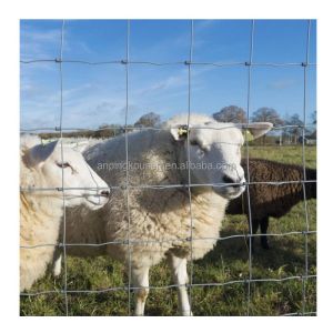 Hot Dip Galvanized 0.7mm Hexagonal Mesh for Security Fence and Field Farm Animal