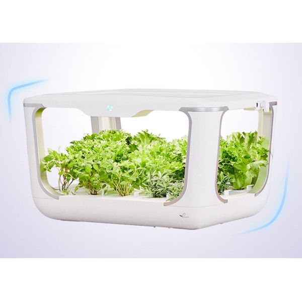 Quality PVC 15 Holes 24V Vertical Hydroponic Growing Systems wholesale