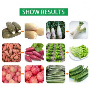 Industrial Automatic Food Processor Fruit Vegetable Ozone Bubble Washer