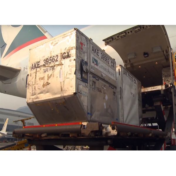 Quality Guangzhou To Worldwide Global Ocean Freight FCL Full Container Transportation wholesale