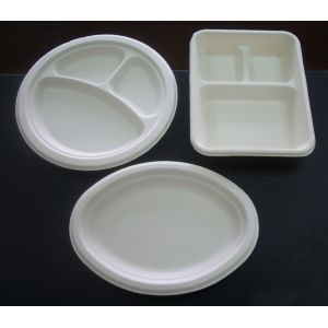 Custom Bagasse Plate Manufacturing Machine , Take Away Pack Making Machine
