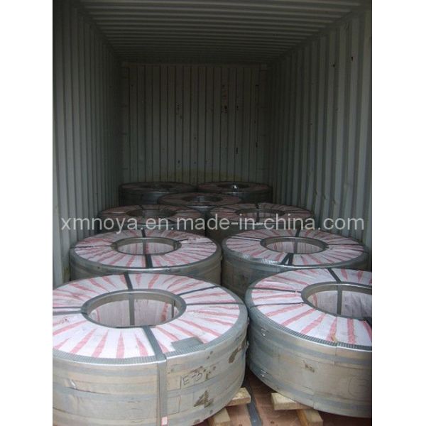 Building Noya Galvanized Steel 01 for Ceiling Wall Track Stud Channel Width