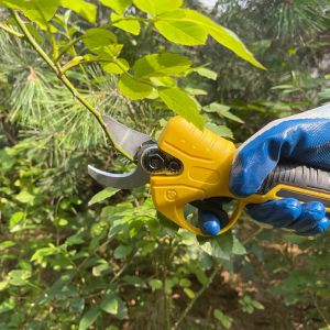 Electric Pruner Branch Cutter 21V Brushless Motor Cordless Pruning Shears