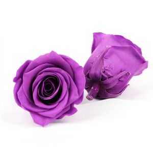 Long Lasting Dia 5-6cm No Pollen Preserved Rose Heads