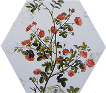 China 200 X 230 MM Hexagon Ceramic Tiles Modern Style Painting Flower Pattern on sale