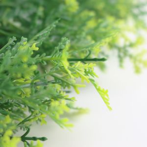 45mm Office Artificial Grass Walls , 20mm Artificial Lawn Wall