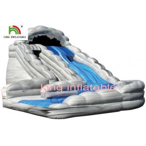 Custom Backyard Inflatable Water Slide For Kids / Adults Double Sewing