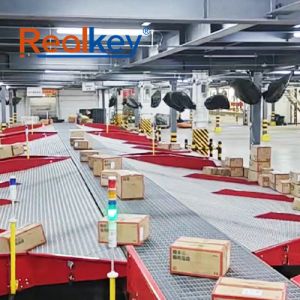 Increased Productivity Plastic Modular Belt Conveyor System Precision Handling