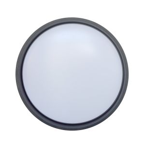 Minimalist Surface Mounted LED Ceiling Light 24W / 36W